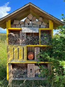 Ascension day – Sunflower palace