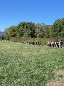Contemplative walk from Gingins to Bonmont Abbey​
