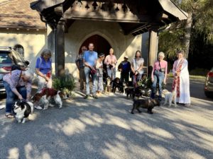 BLESSING OF THE ANIMALS
