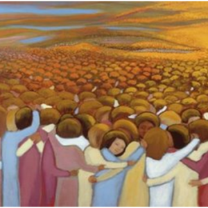 Diocese of Derry – News – Homily for the Feast of All Saints – November 1st 2016 Diocese of Derry - News - Homily for the Feast of All Saints - November 1st 2016